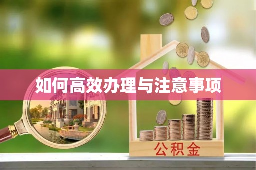 纳雍如何高效办理与注意事项