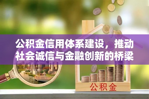 纳雍公积金信用体系建设，推动社会诚信与金融创新的桥梁
