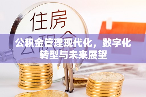 纳雍公积金管理现代化，数字化转型与未来展望
