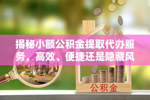 纳雍揭秘小额公积金提取代办服务，高效、便捷还是隐藏风险？