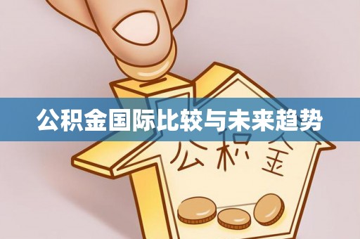 纳雍公积金国际比较与未来趋势