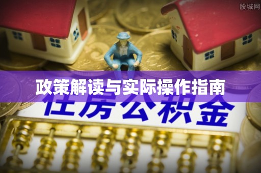 纳雍政策解读与实际操作指南