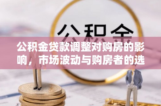 纳雍公积金贷款调整对购房的影响，市场波动与购房者的选择