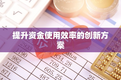 纳雍提升资金使用效率的创新方案