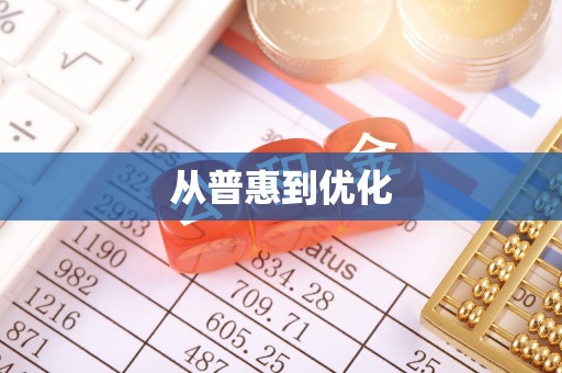 纳雍从普惠到优化