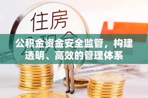 纳雍公积金资金安全监管，构建透明、高效的管理体系