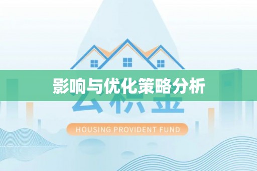 纳雍影响与优化策略分析