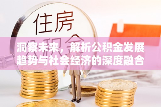 纳雍洞察未来，解析公积金发展趋势与社会经济的深度融合