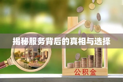 纳雍揭秘服务背后的真相与选择