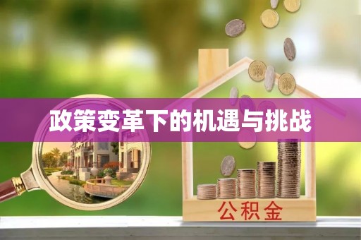 纳雍政策变革下的机遇与挑战