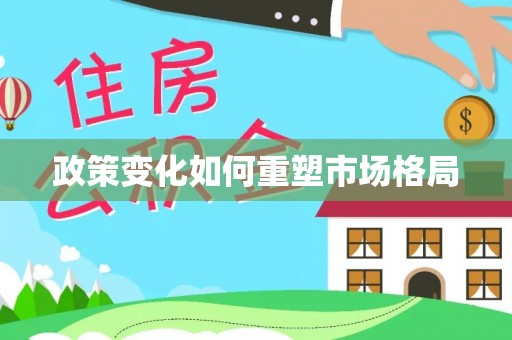 纳雍政策变化如何重塑市场格局