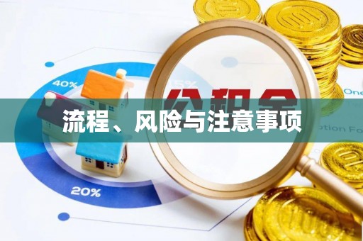 纳雍流程、风险与注意事项