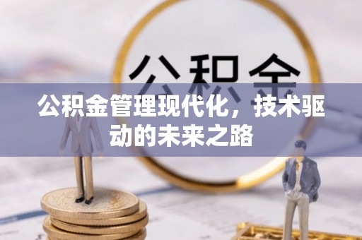 纳雍公积金管理现代化，技术驱动的未来之路